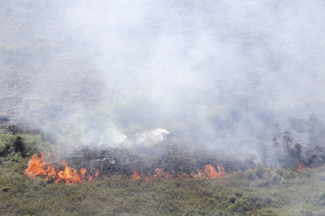 Kobaran api menyala dari lahan yang terbakar di Tulung Selapan, Ogan Komering Ilir (OKI), Sumatera Selatan, MInggu (22/7). Badan Penanggulangan Bencana Daerah (BPBD) Provinsi Sumatera Selatan menurunkan dua helikopter MI-172 dan dibantu petugas gabungan dari BPBD Kabupaten OKI, Manggala Agni Daops OKI, TNI dan Polri untuk melakukan pemadaman kebakaran hutan dan lahan yang terbakar sejak Sabtu (21/7). ANTARA FOTO/Nova Wahyudi/foc/18.
