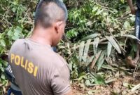 Tim BPBD dan warga evakuasi barang dari rumah rusak akibat angin kencang dan longsor di Sulawesi. (Dok. BNPB)
