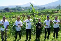 Bapanas dorong konsumsi sorgum dan singkong demi kurangi ketergantungan beras dan reformasi ekonomi pangan nasional berbasis sumber daya lokal.   (Dok. Bapenas)